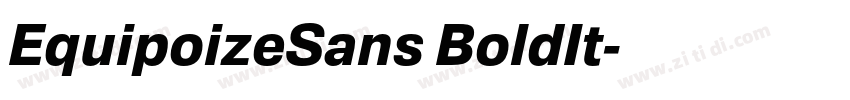 EquipoizeSans BoldIt字体转换